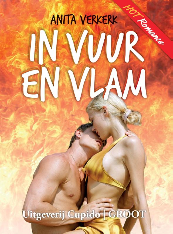 Omslag van In vuur en vlam