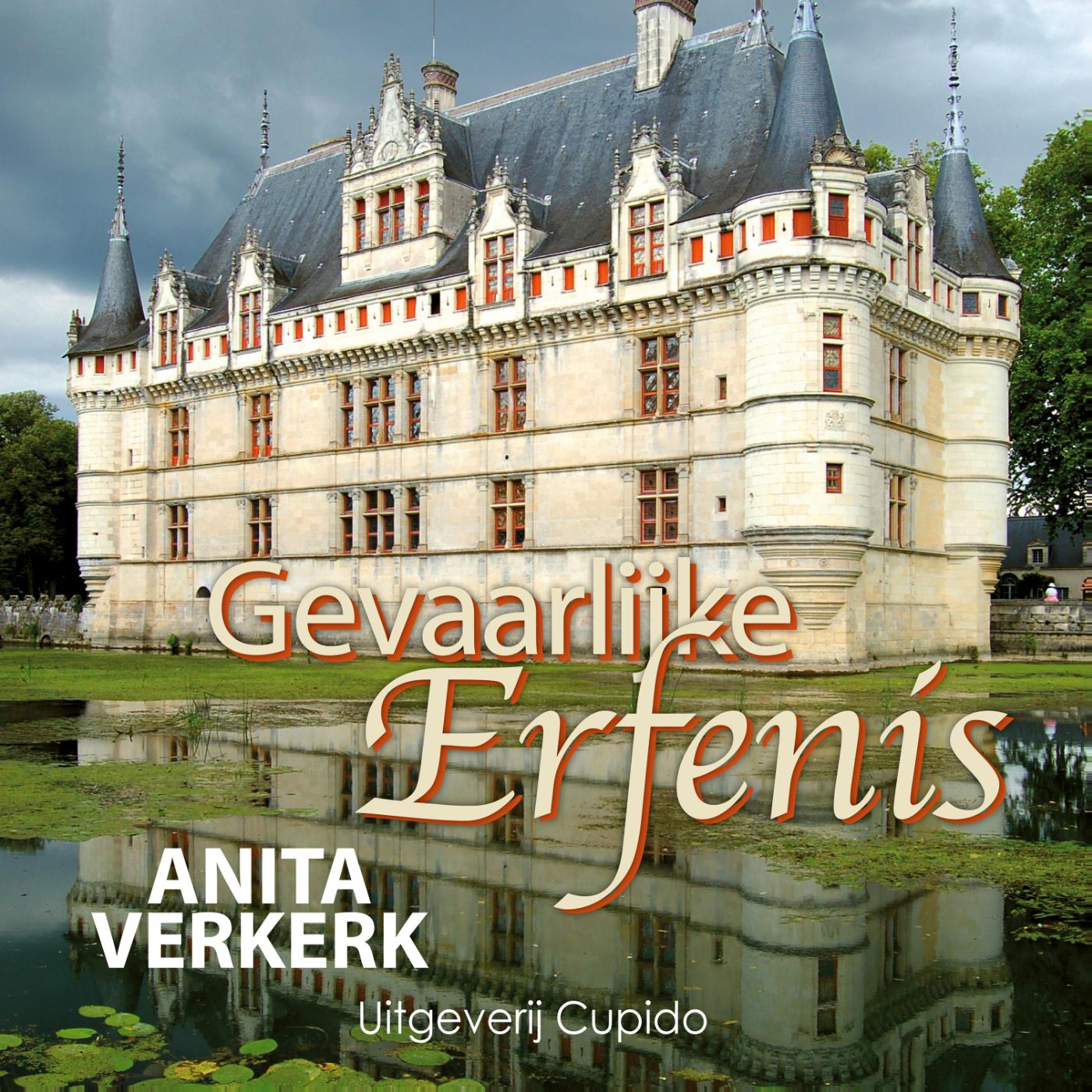 Omslag van Gevaarlijke erfenis
