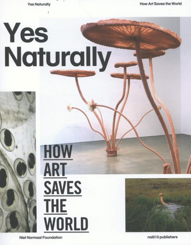 Omslag van Yes naturally