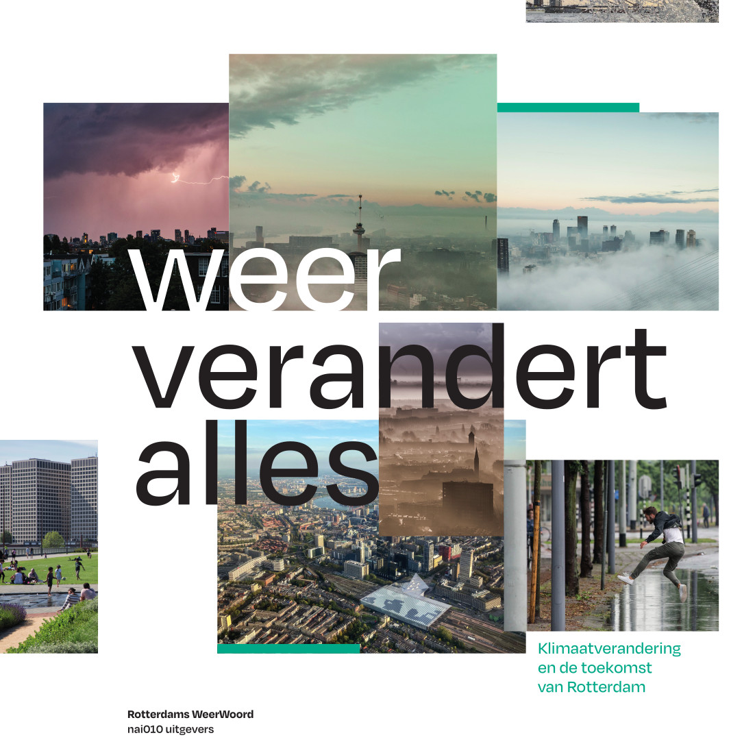 Omslag van Weer verandert alles