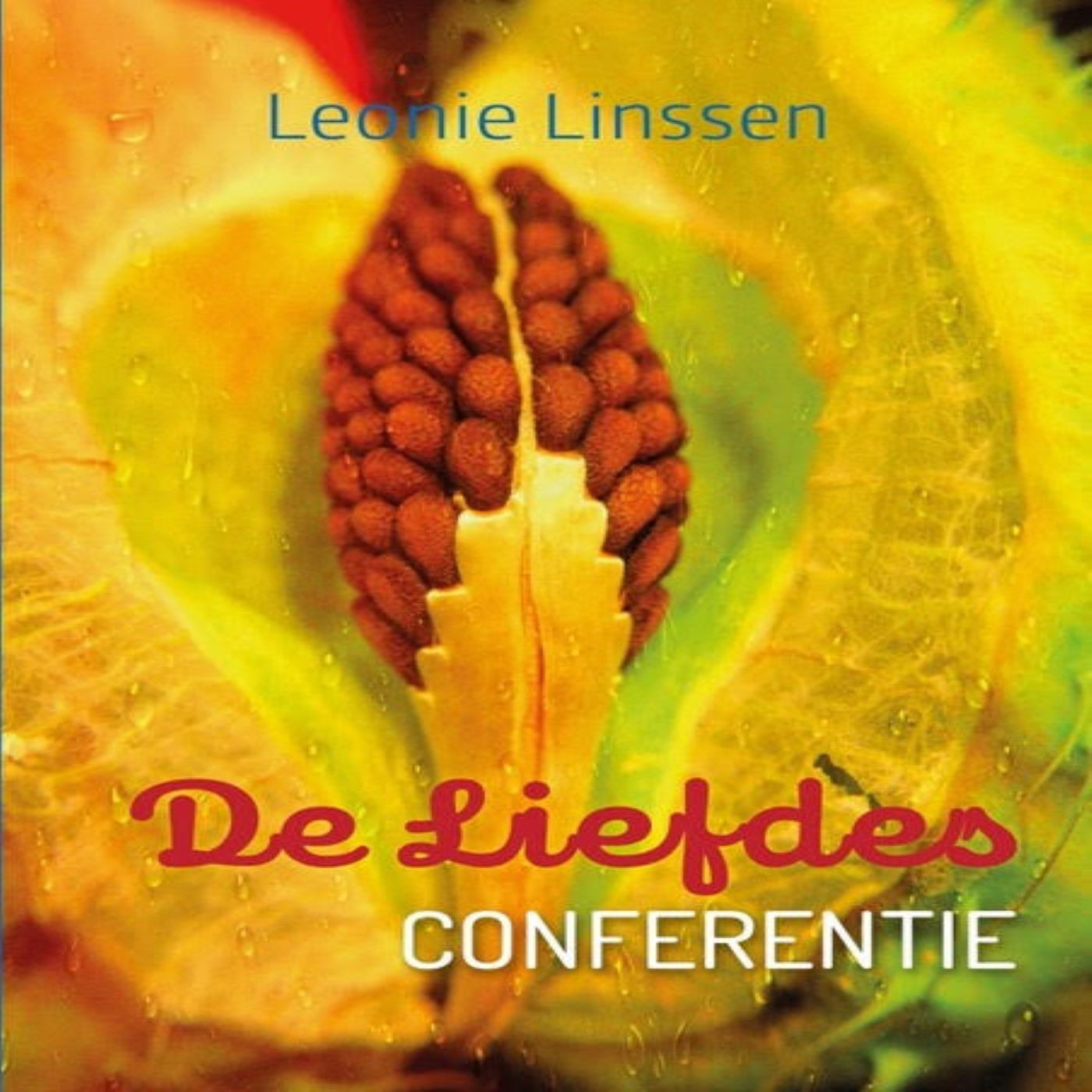 Omslag van De Liefdesconferentie