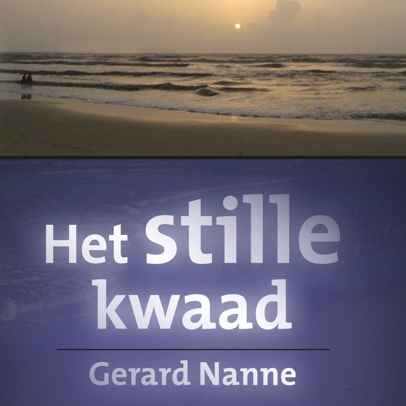 Omslag van Het stille kwaad