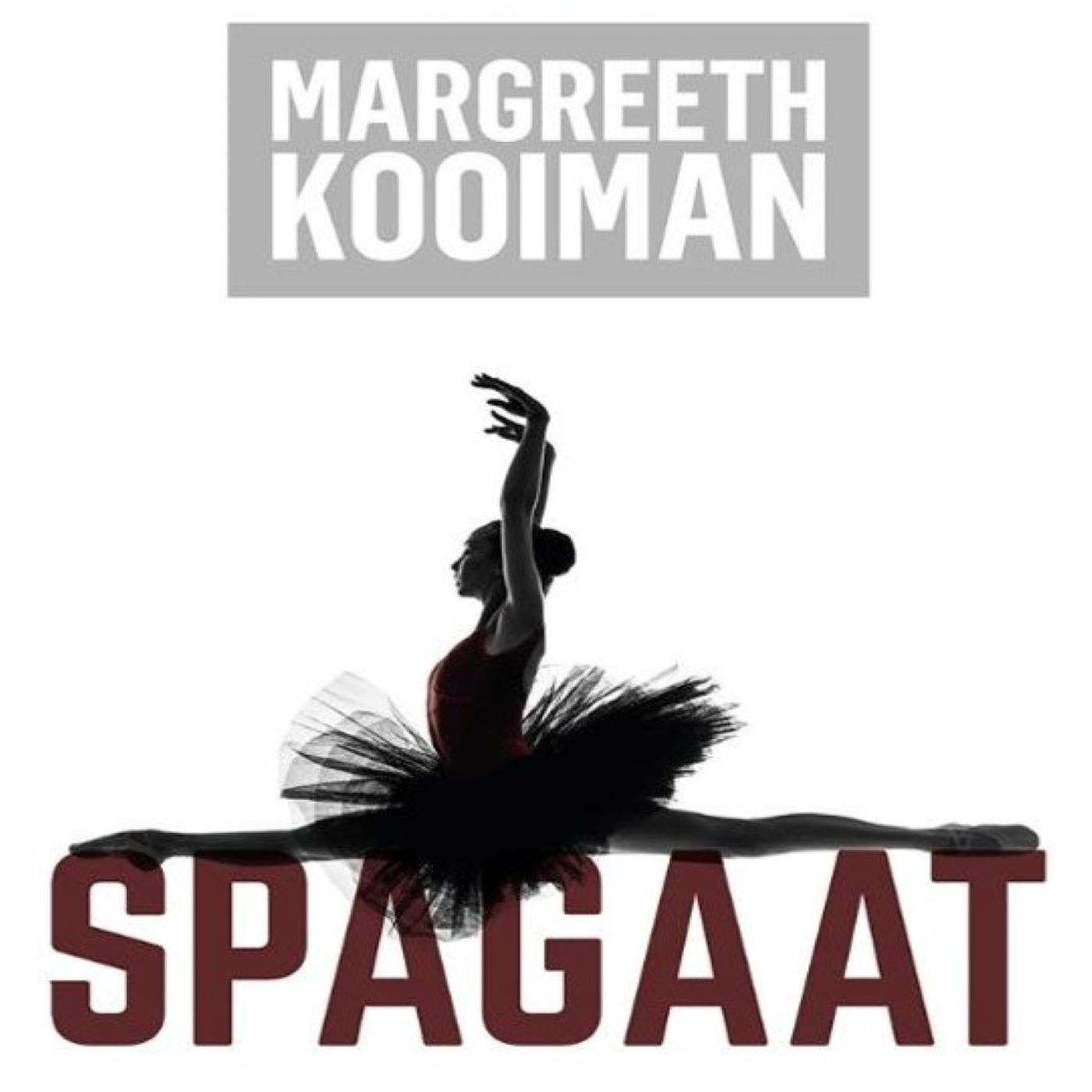 Omslag van Spagaat