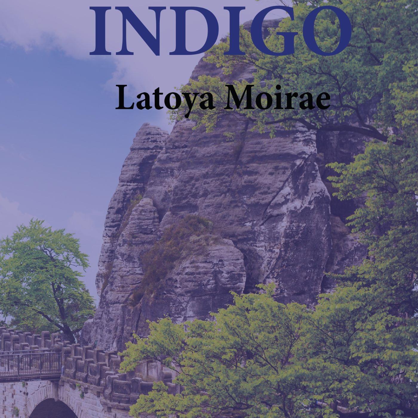 Omslag van Indigo