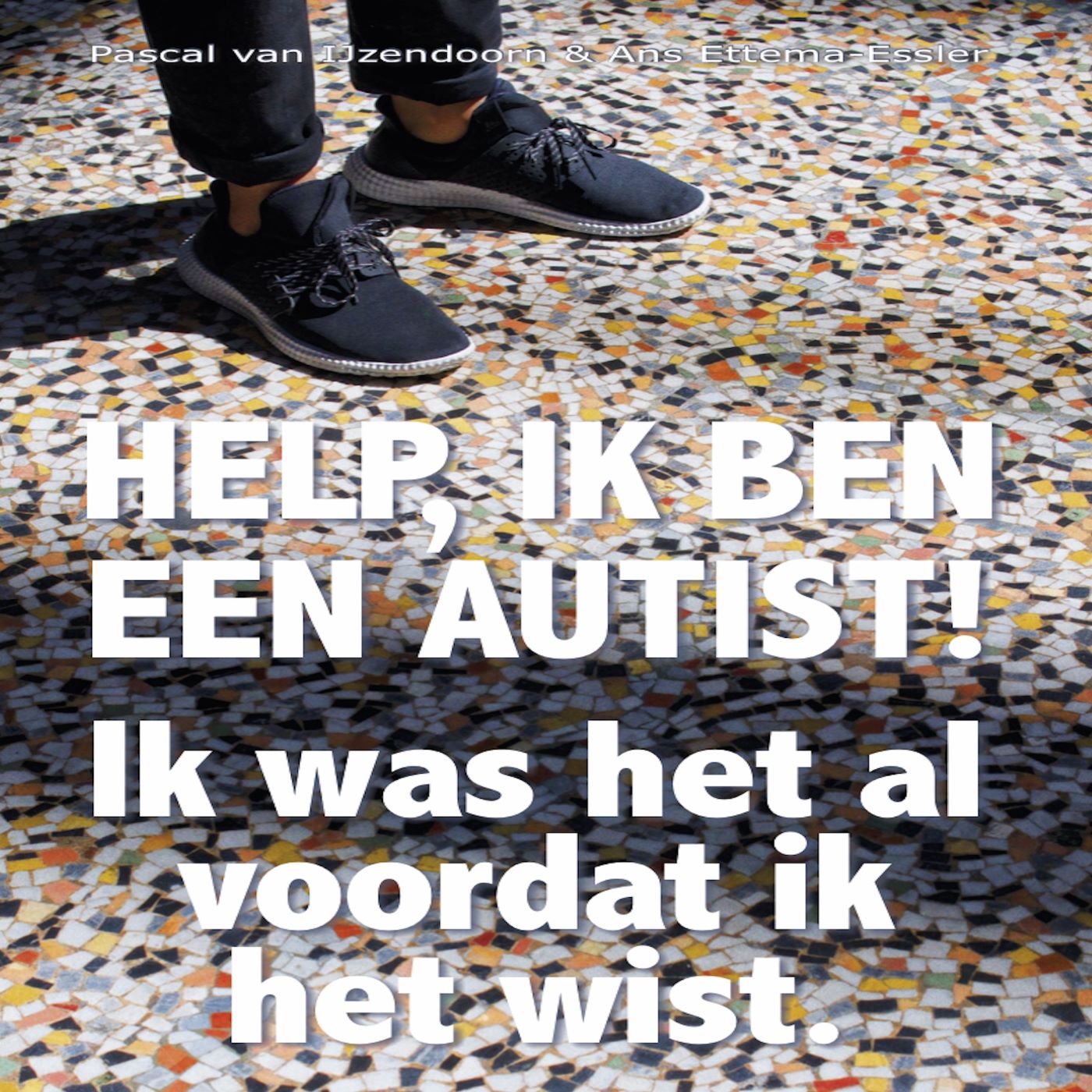 Omslag van Help, ik ben een autist!