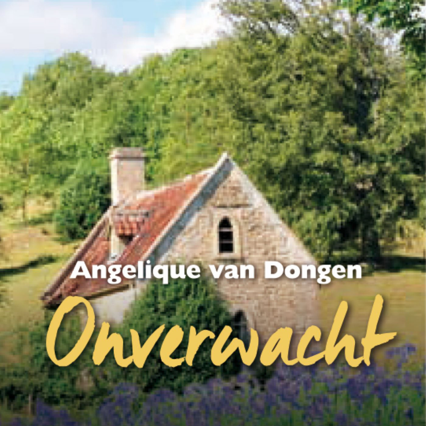 Omslag van Onverwacht