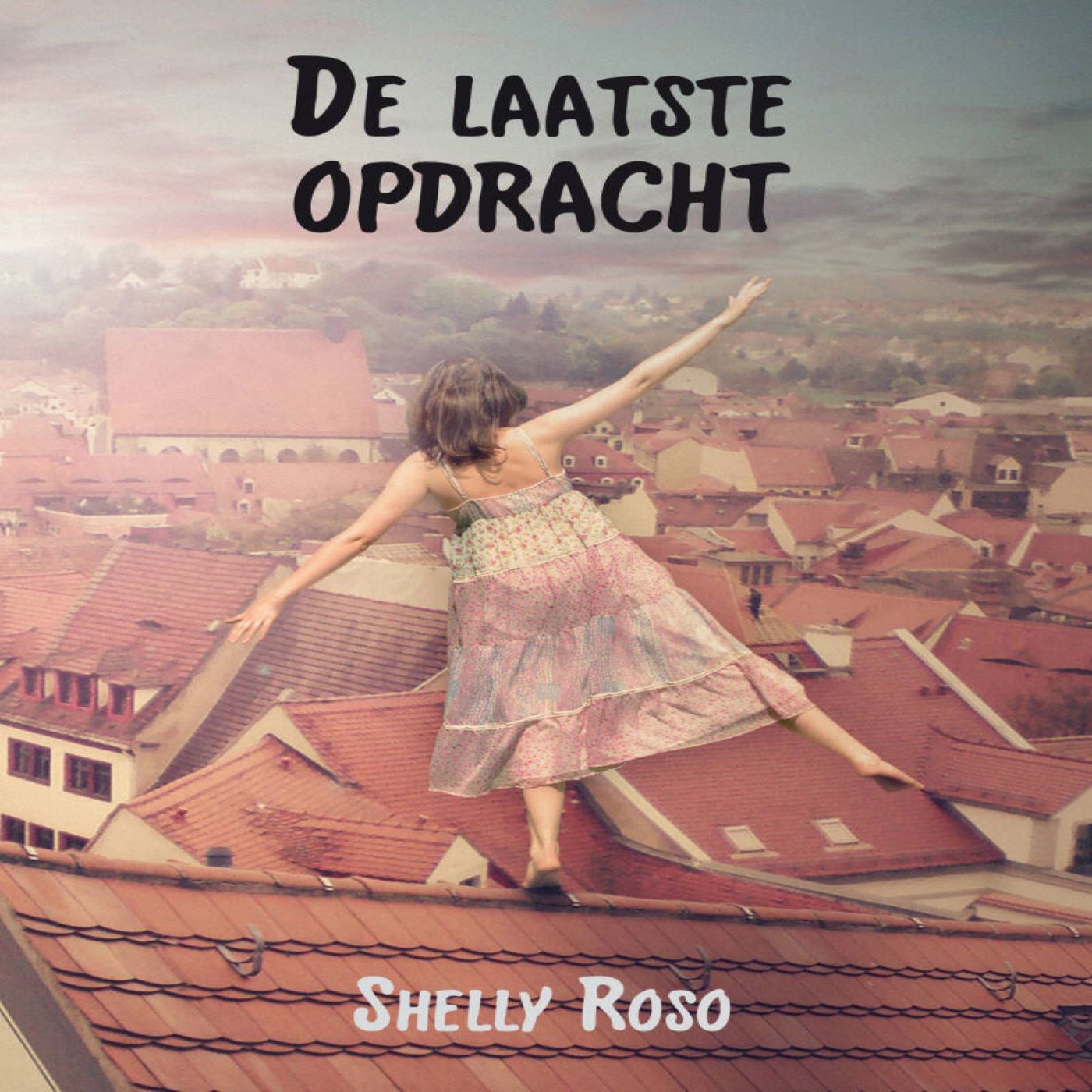 Omslag van De laatste opdracht