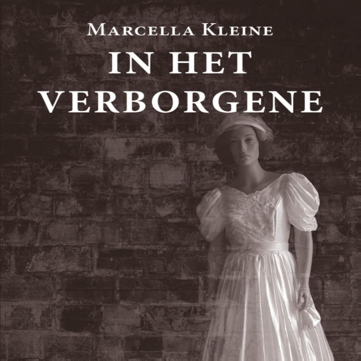 Omslag van In het verborgene