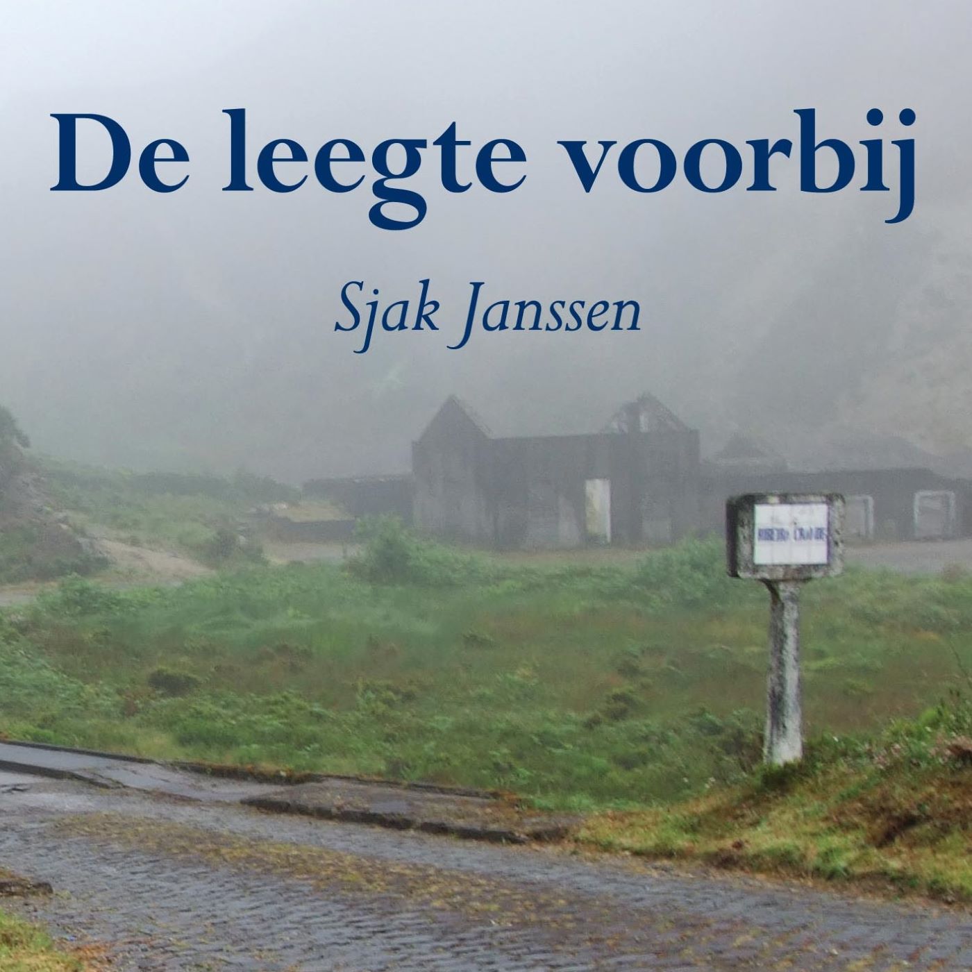 Omslag van De leegte voorbij
