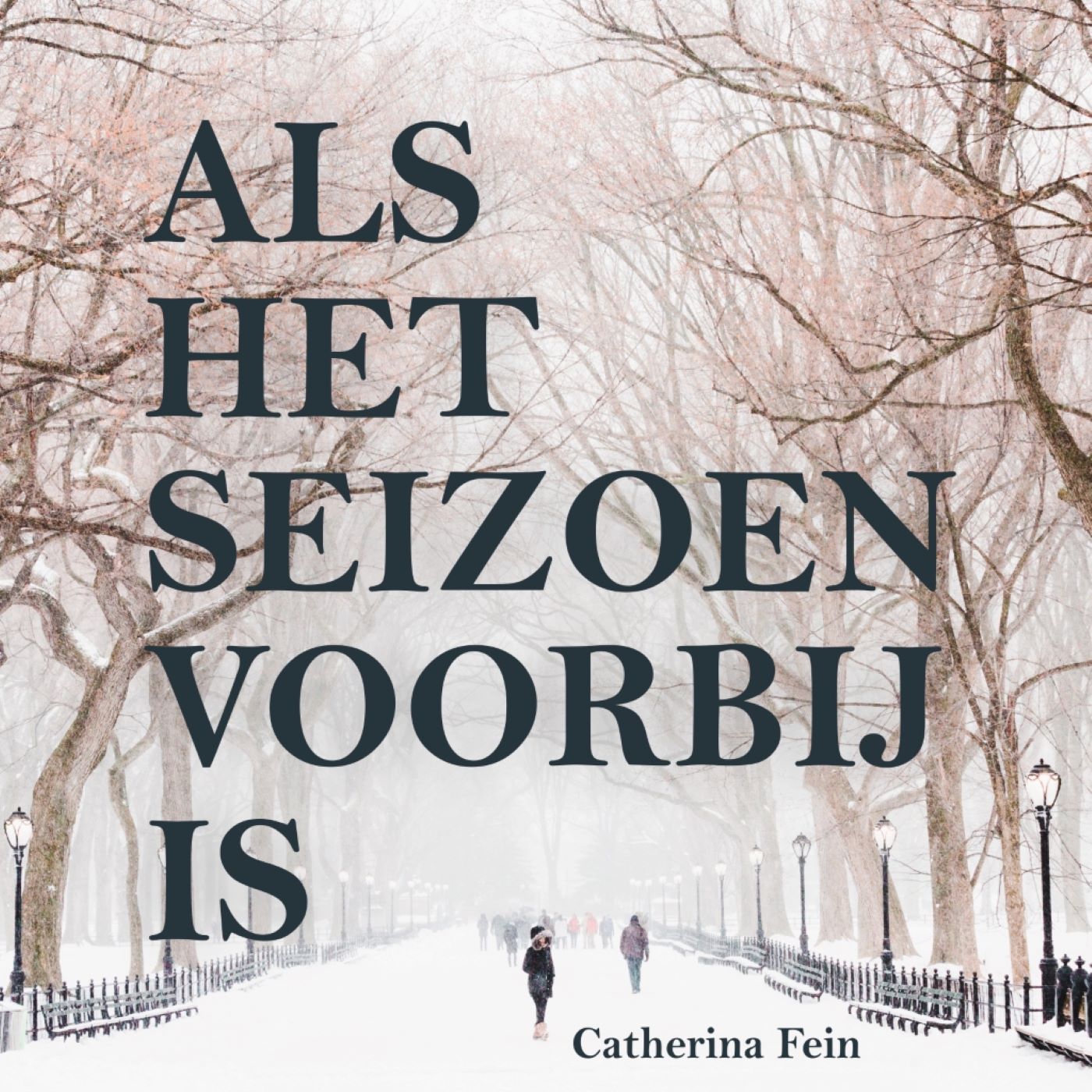 Omslag van Als het seizoen voorbij is
