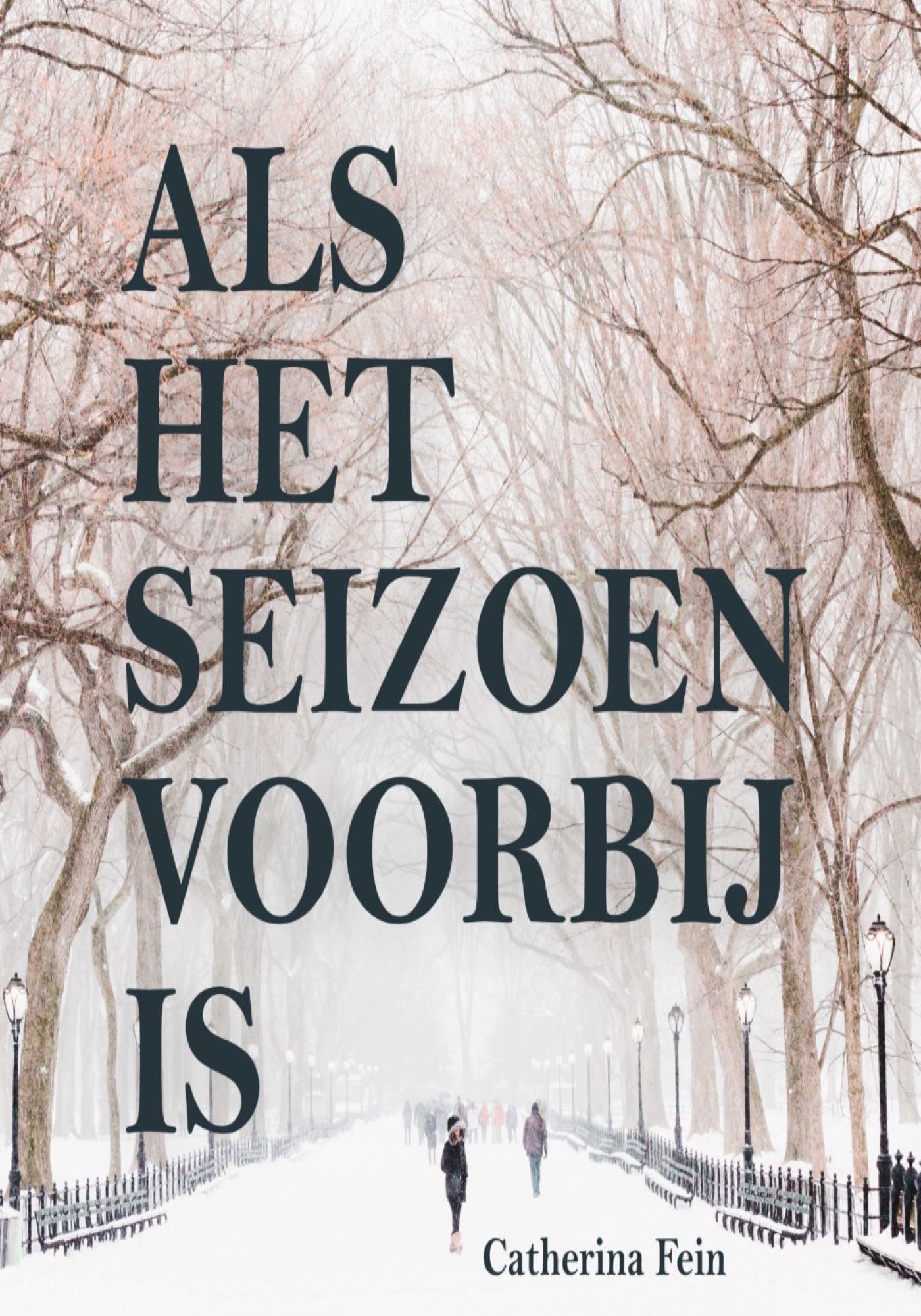 Omslag van Als het seizoen voorbij is