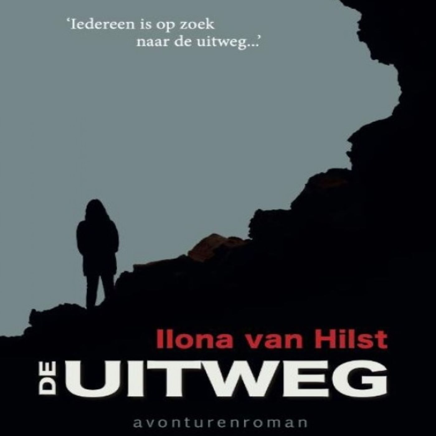 Omslag van De uitweg