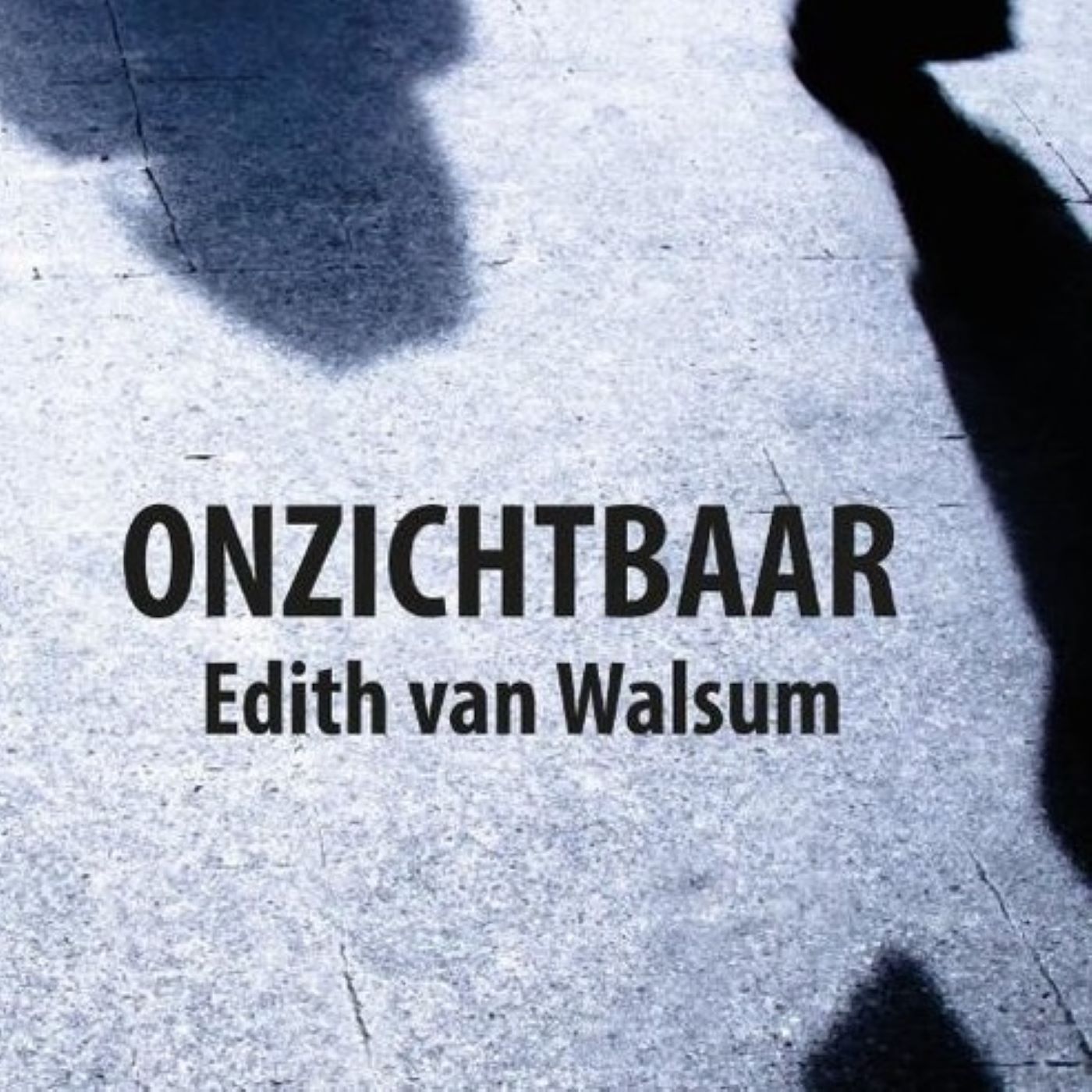 Omslag van Onzichtbaar
