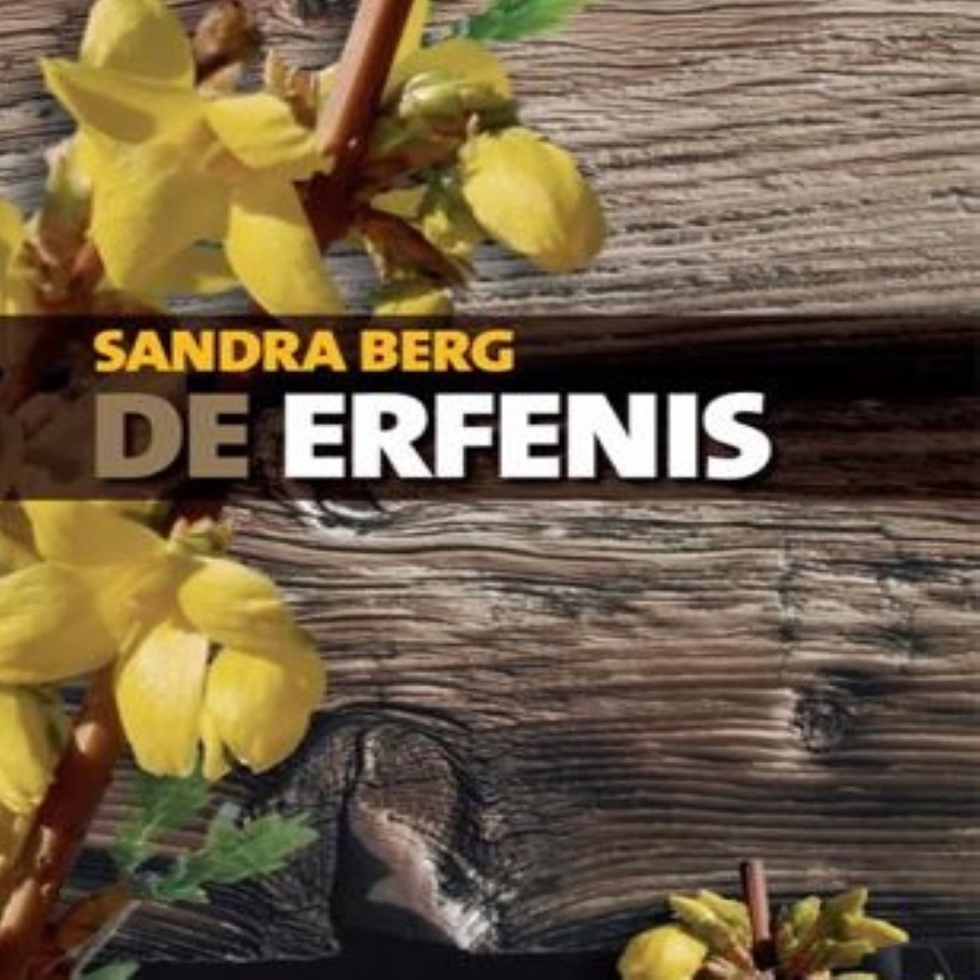 Omslag van De erfenis