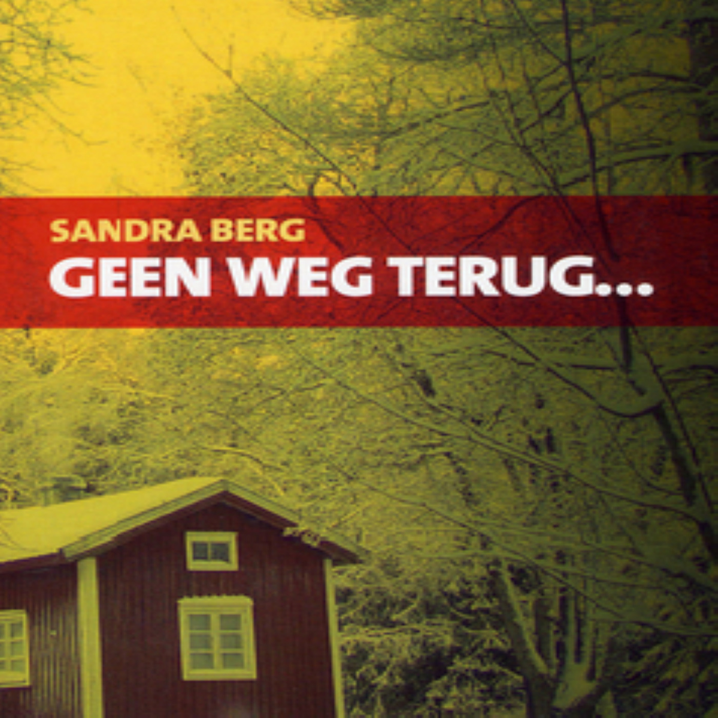 Omslag van Geen weg terug