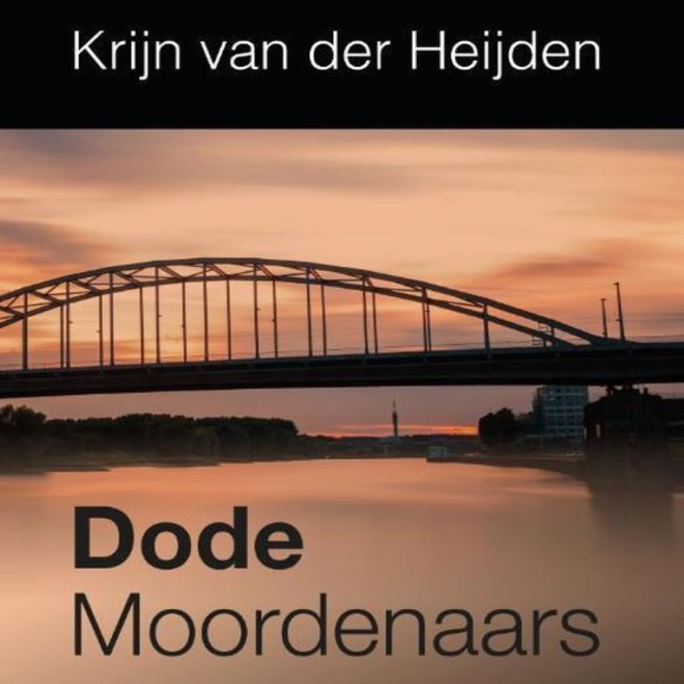 Omslag van Dode moordenaars