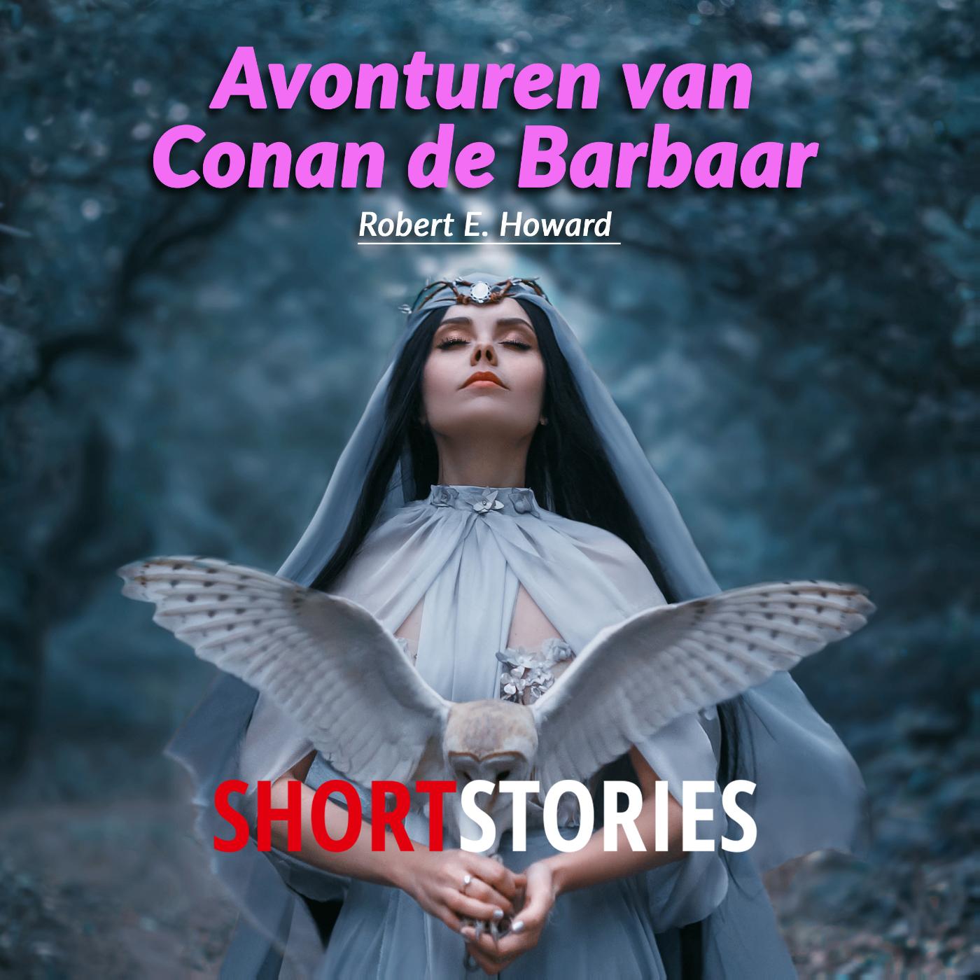 Omslag van Avonturen van Conan de Barbaar