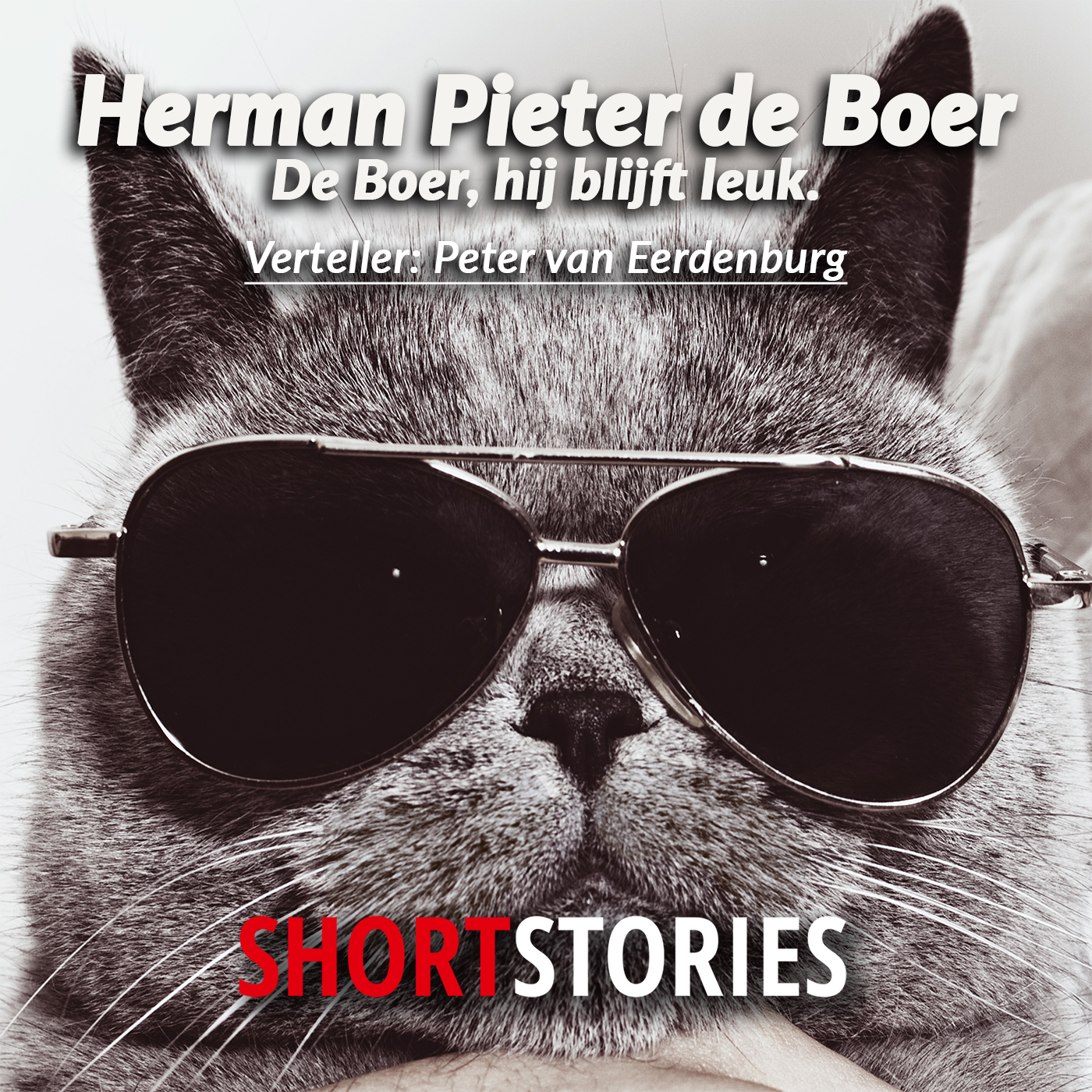 Omslag van De Boer, hij blijft leuk