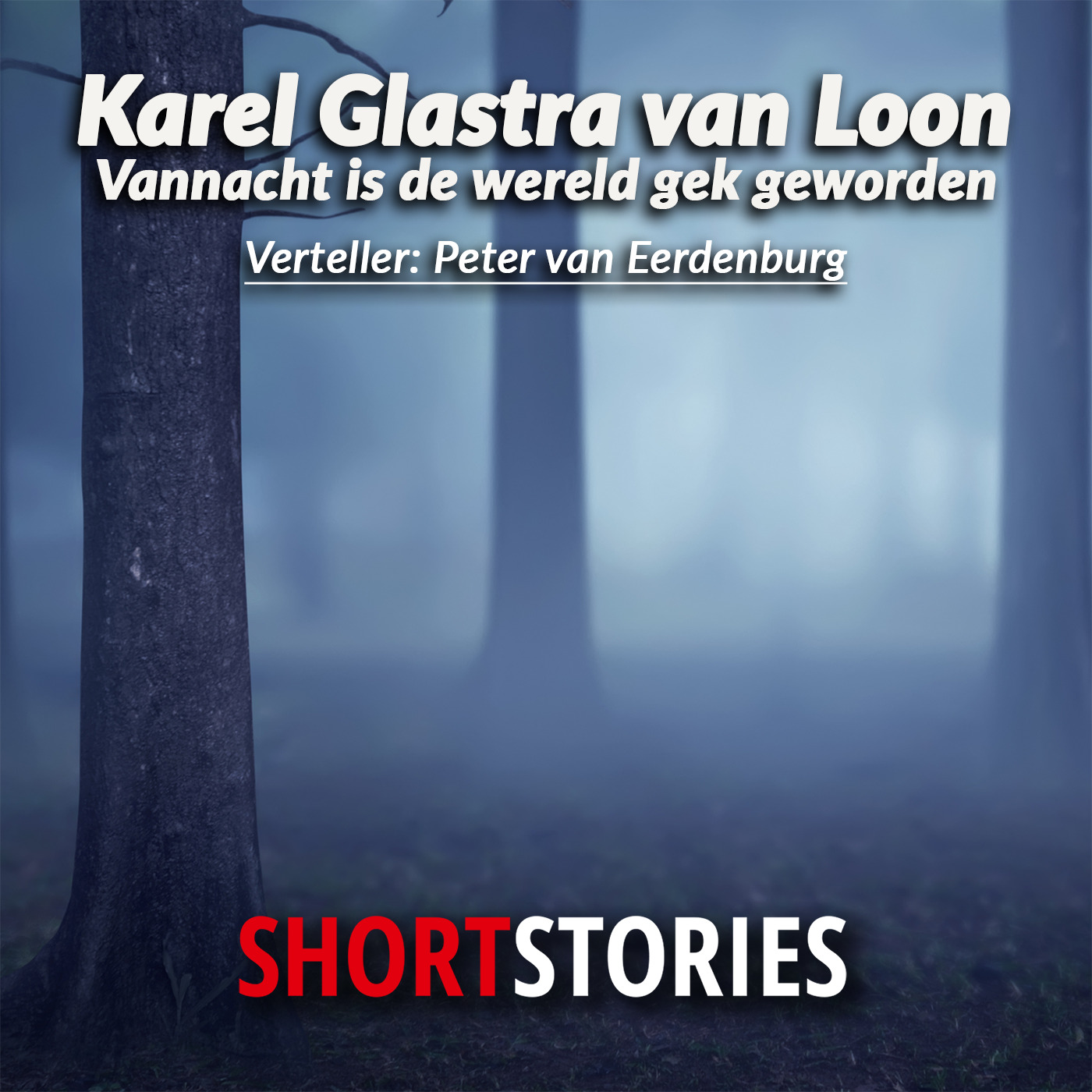 Omslag van Vannacht is de wereld gek geworden