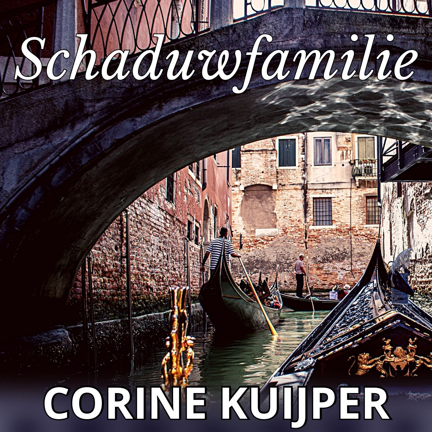 Omslag van Schaduwfamilie