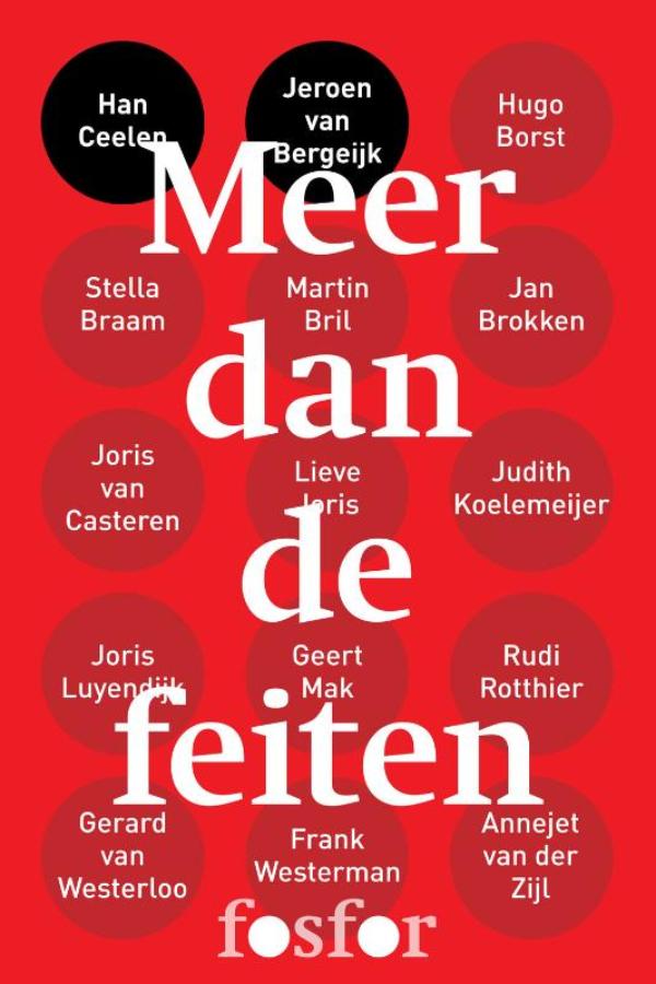 Omslag van Meer dan de feiten