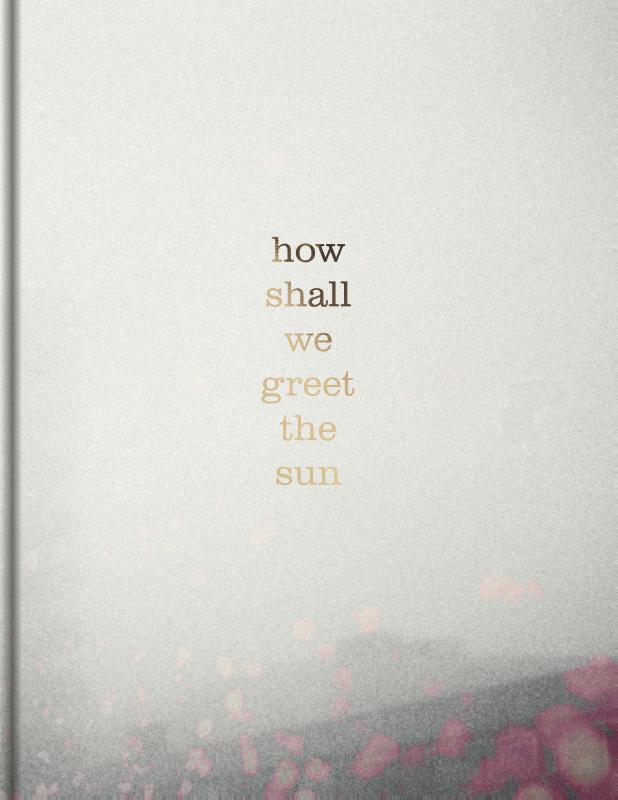 Omslag van How shall we greet the sun