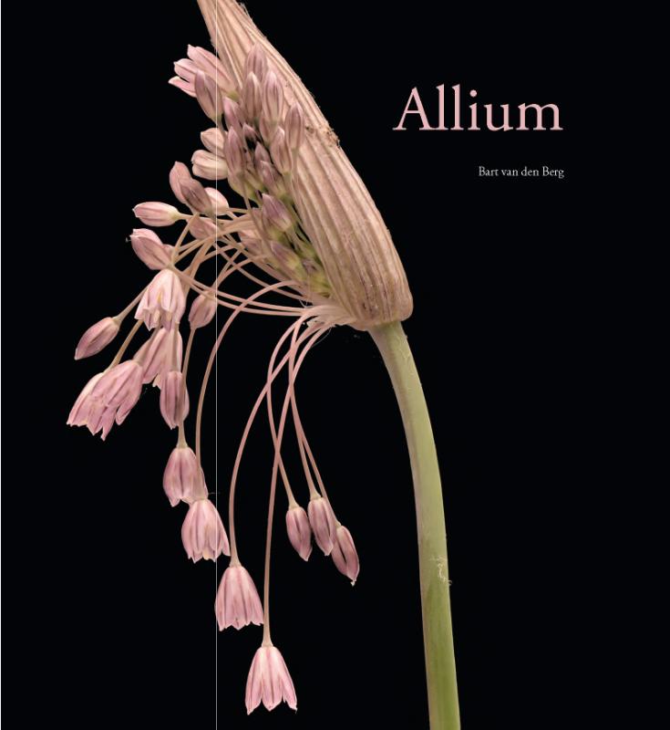 Omslag van Allium