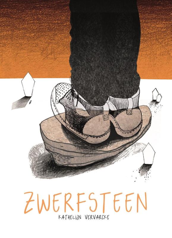 Omslag van Zwerfsteen