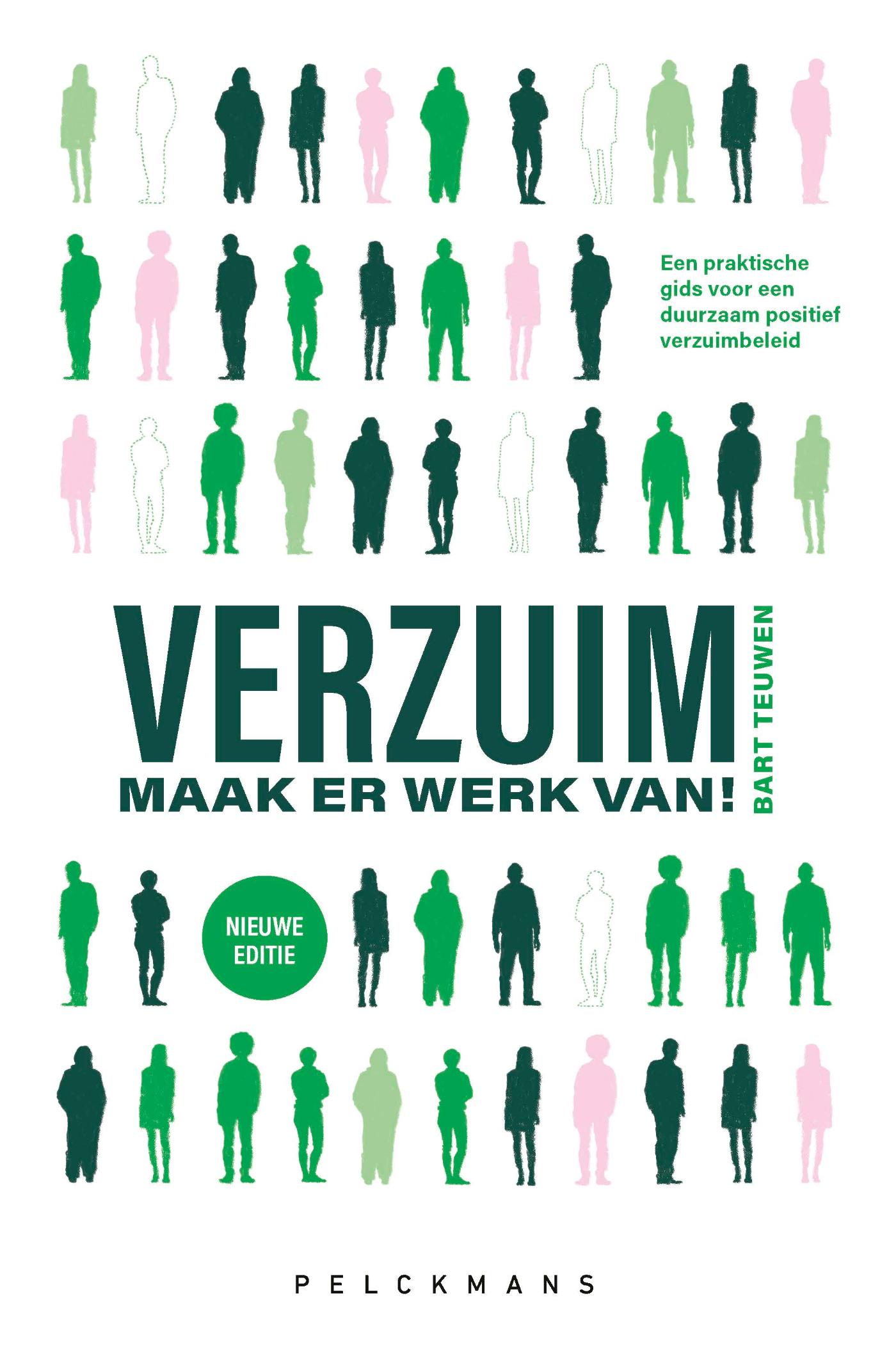 Omslag van Verzuim