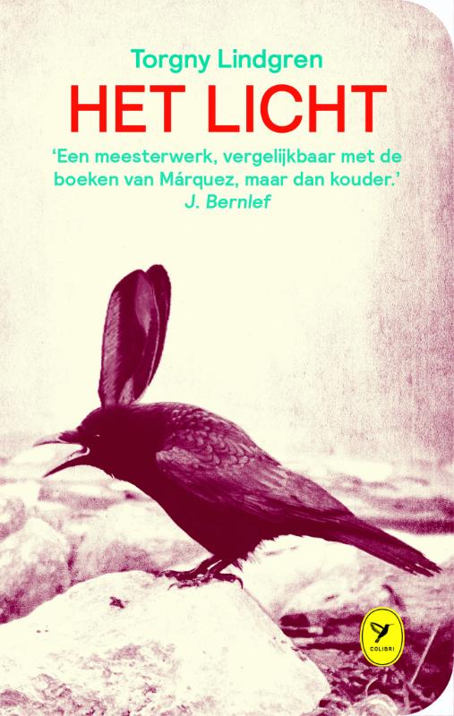 Omslag van Het licht