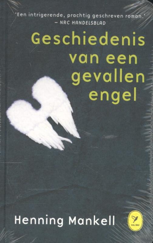 Omslag van De geschiedenis van een gevallen engel