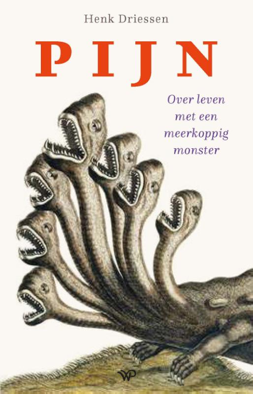 Omslag van Pijn