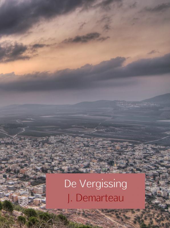 Omslag van De Vergissing