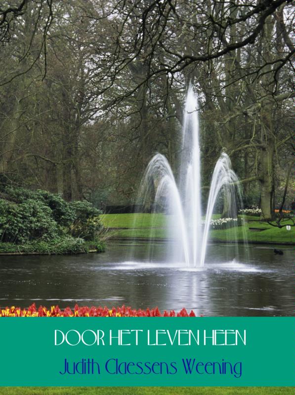 Omslag van Door het leven heen