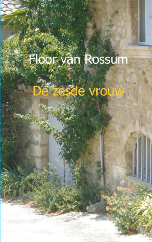 Omslag van De zesde vrouw