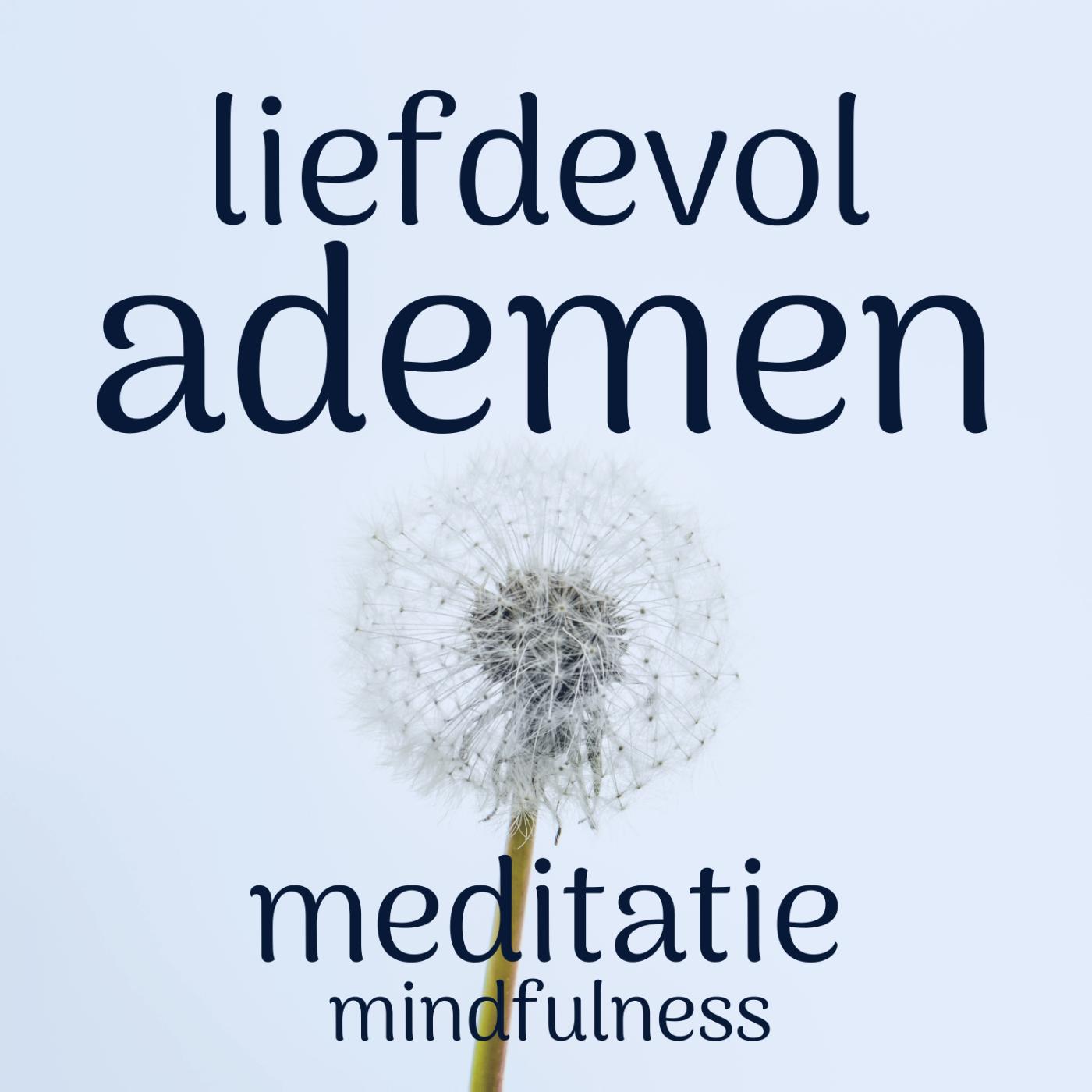 Omslag van Liefdevol ademen