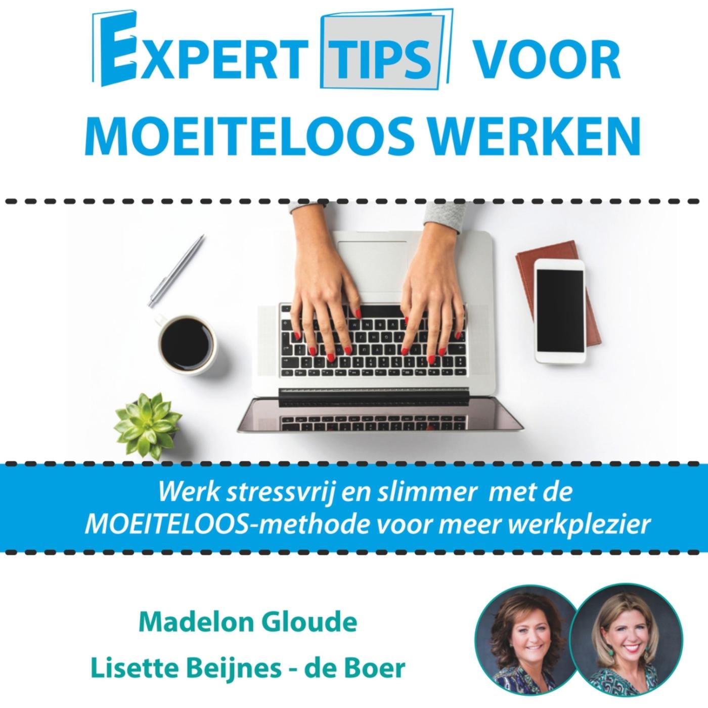 Omslag van Experttips voor Moeiteloos Werken