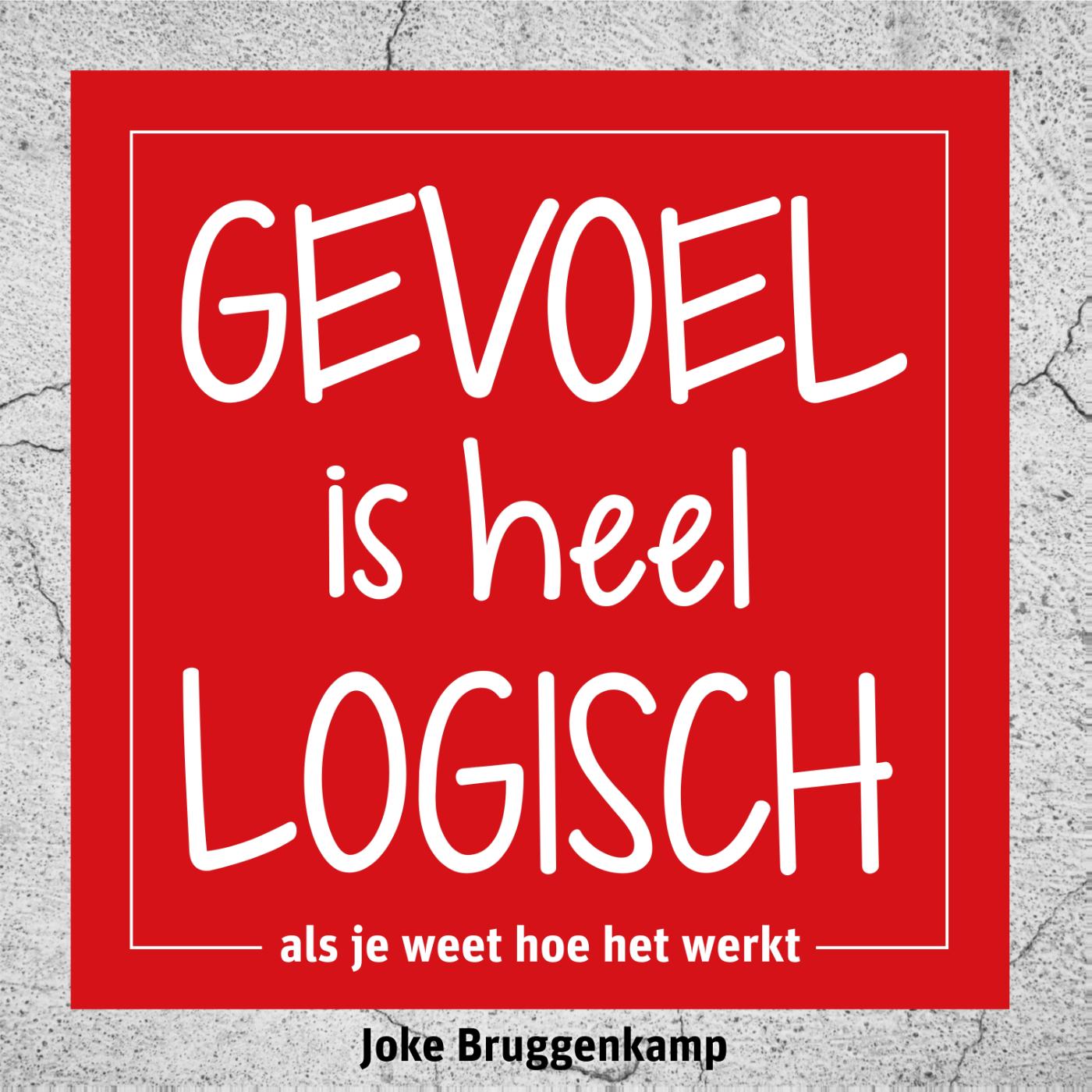Omslag van Gevoel is heel logisch