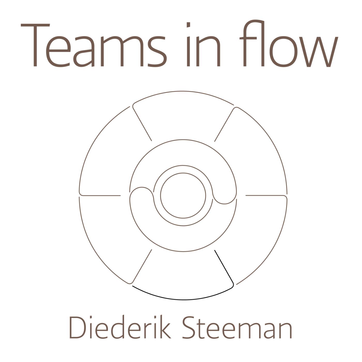 Omslag van Teams in flow