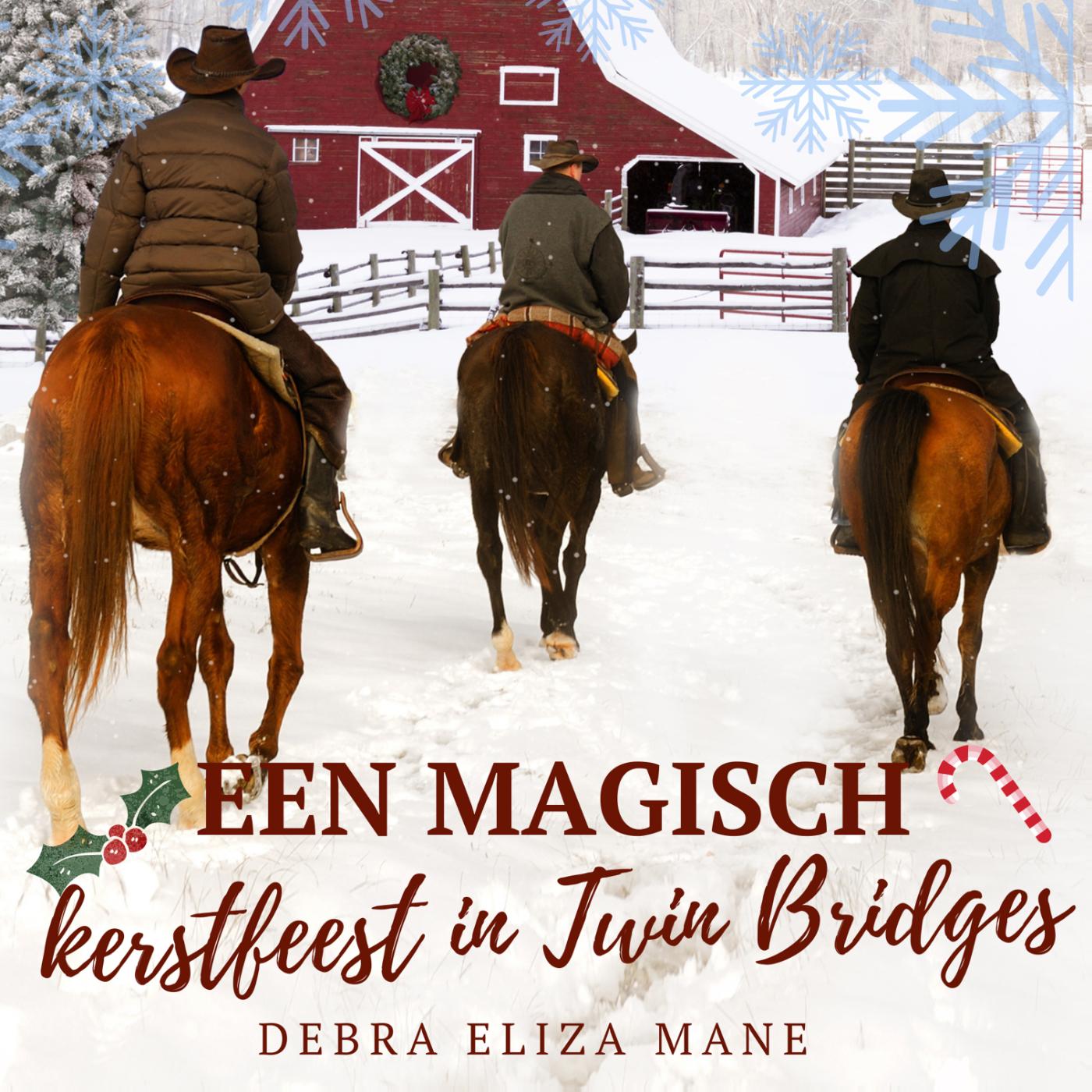 Omslag van Een magisch kerstfeest in Twin Bridges
