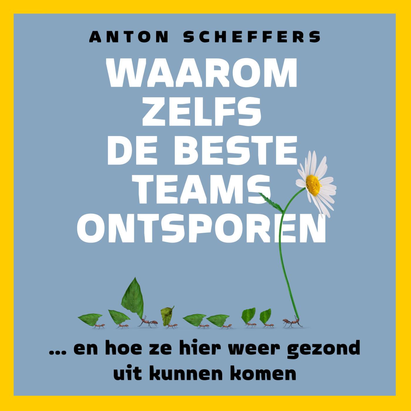 Omslag van Waarom zelfs de beste teams ontsporen