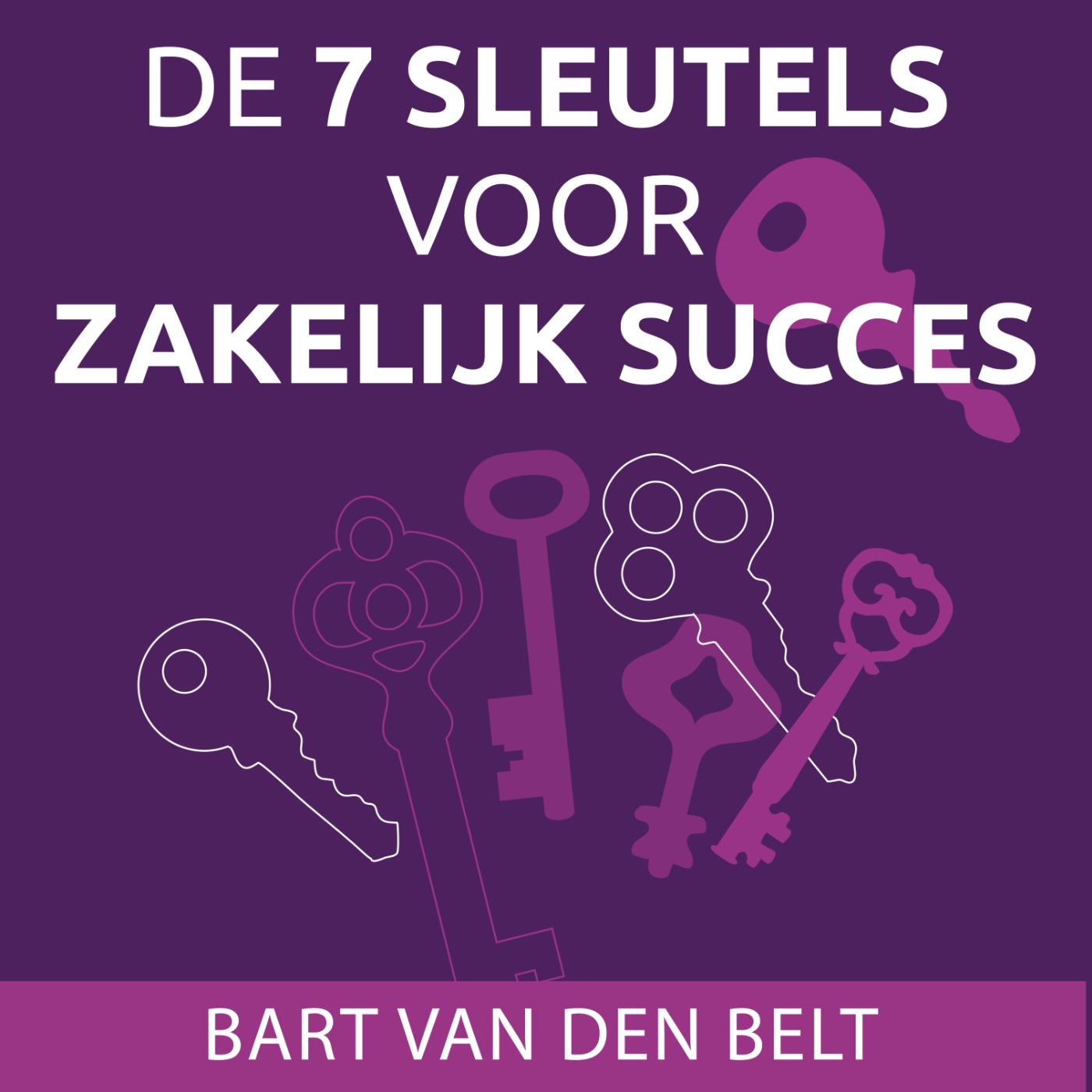 Omslag van De 7 sleutels voor zakelijk succes