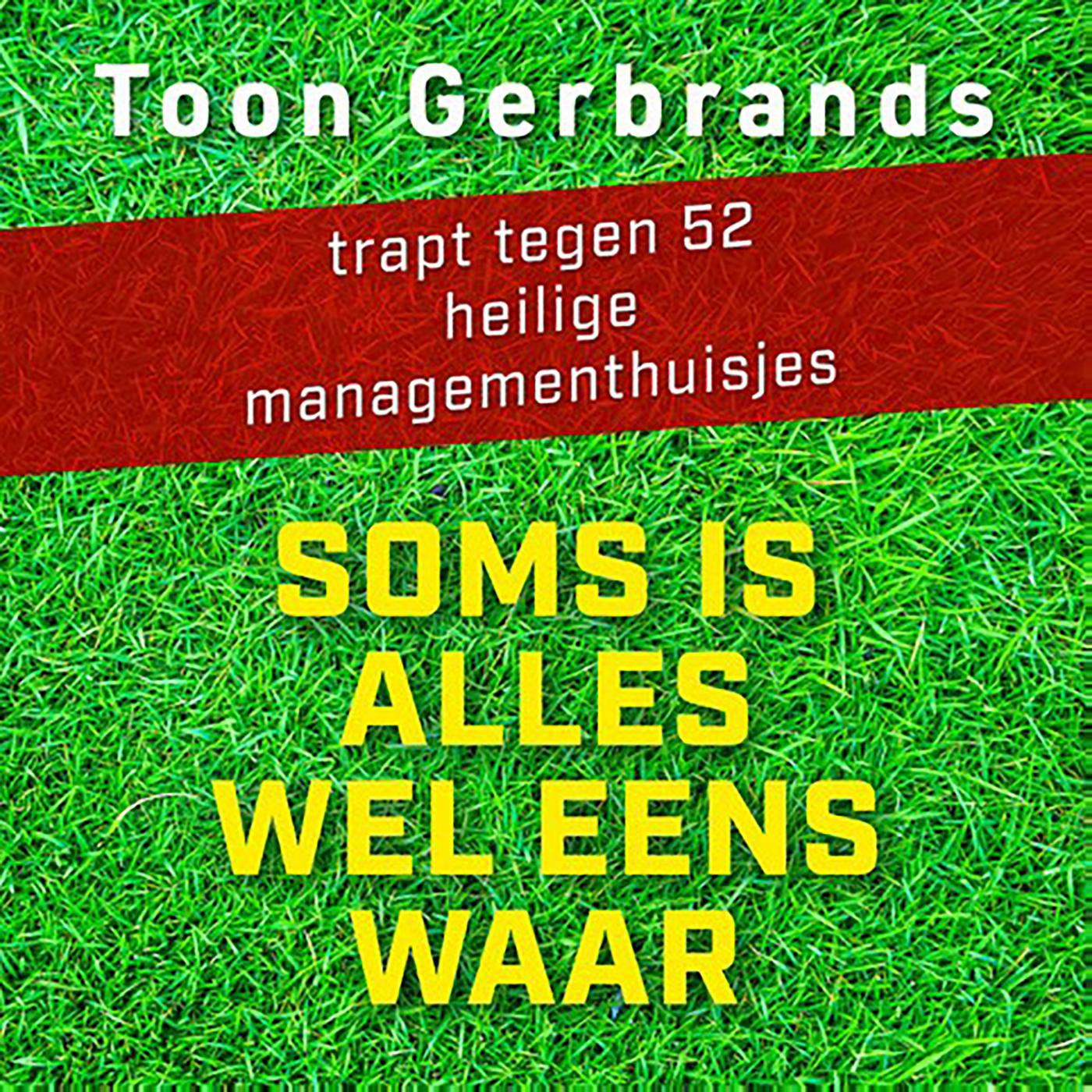 Omslag van Soms is alles wel eens waar