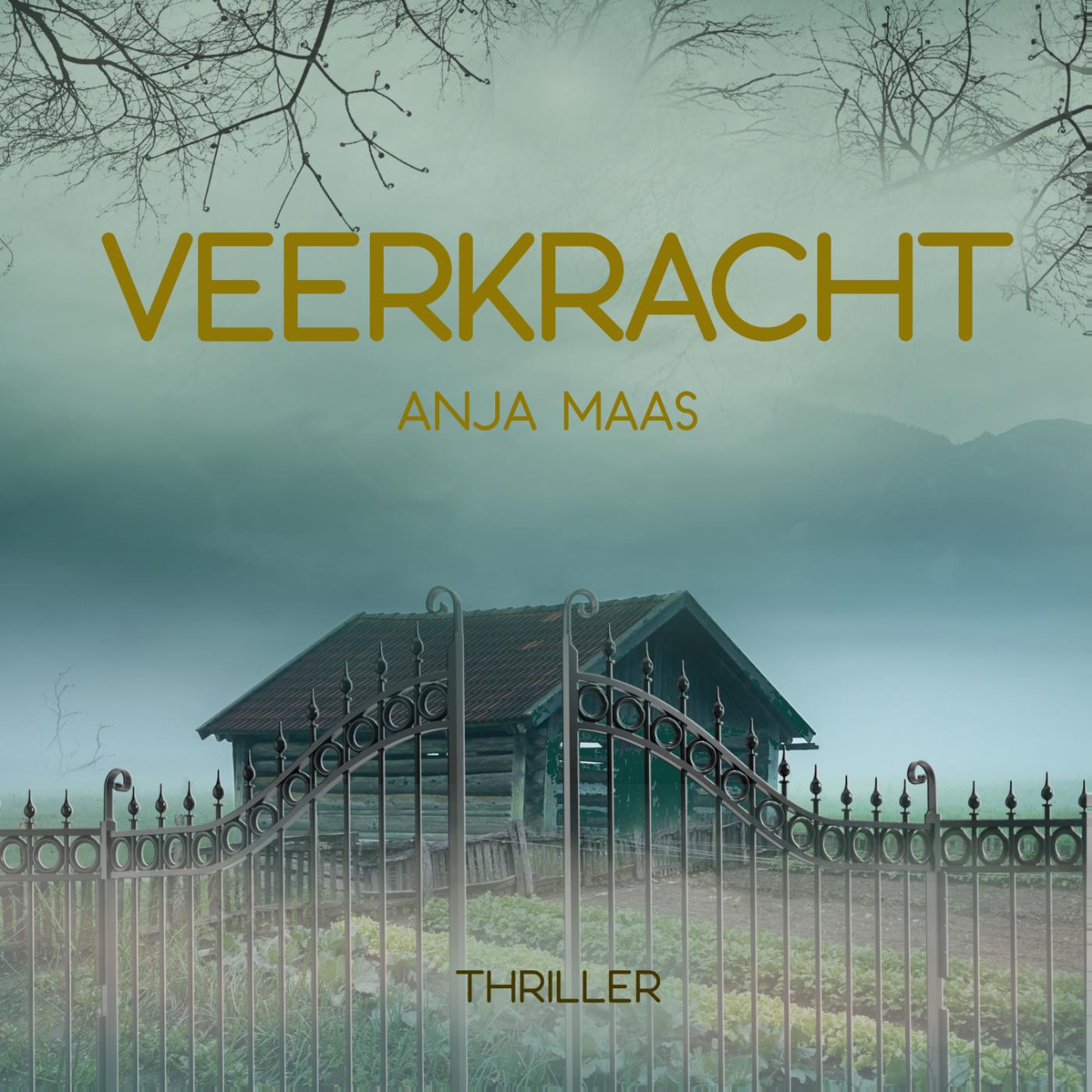 Omslag van Veerkracht