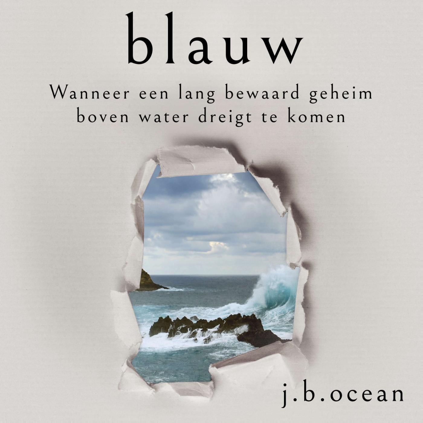 Omslag van Blauw
