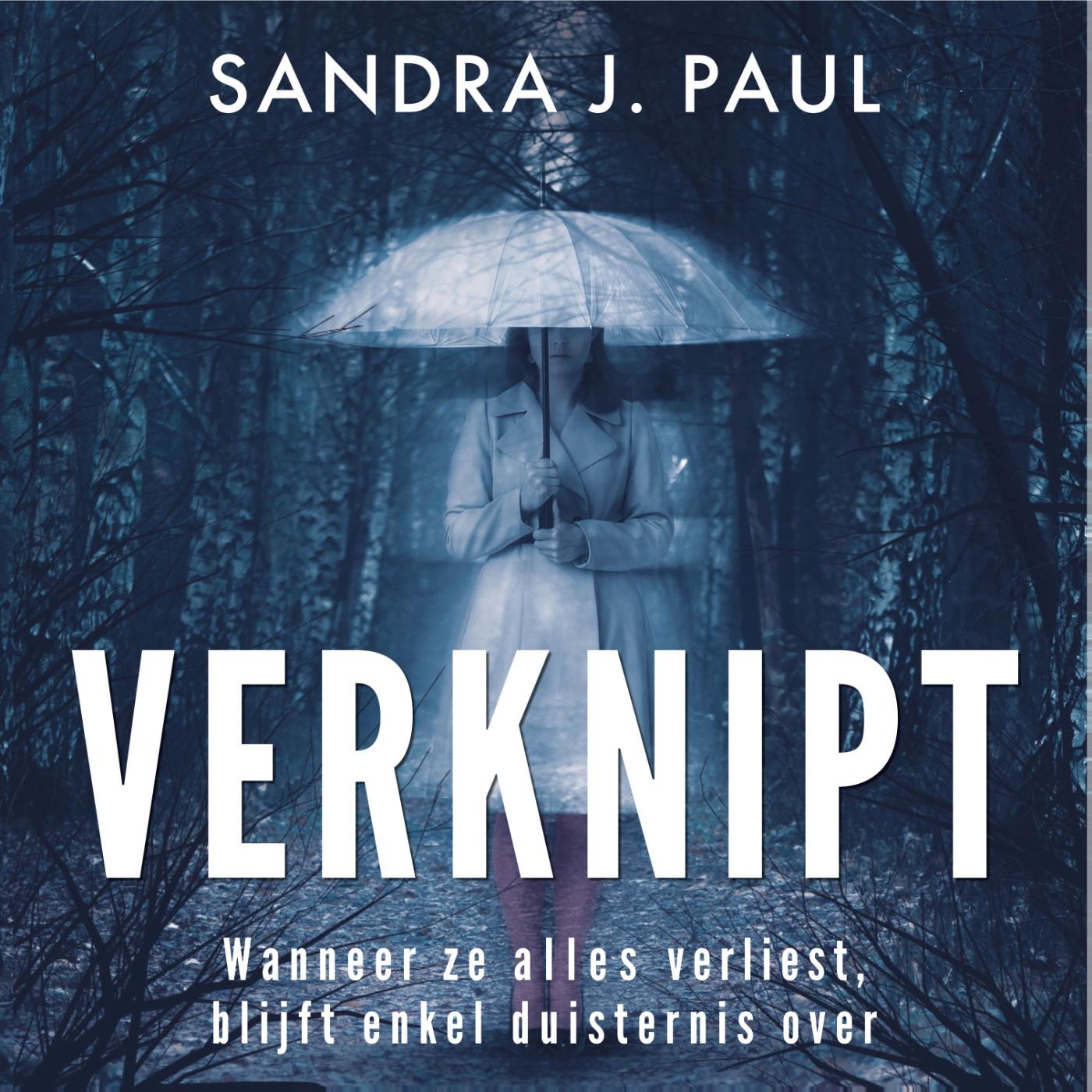 Omslag van Verknipt