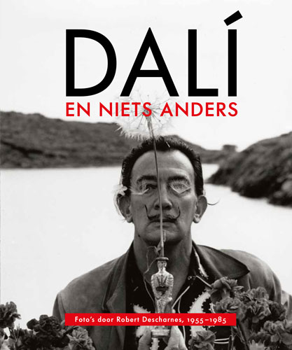 Omslag van Dali en niets anders