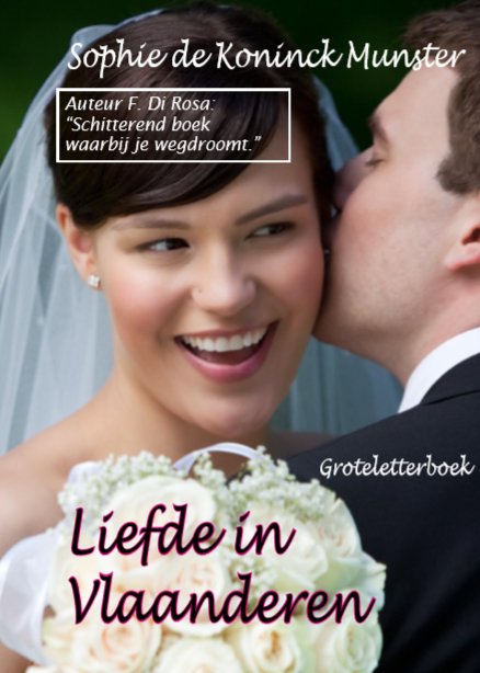 Omslag van Liefde in Vlaanderen