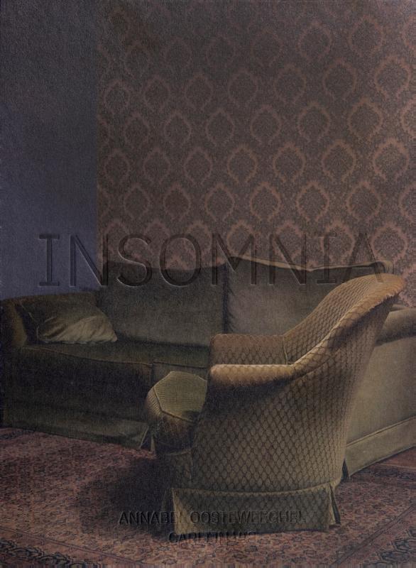 Omslag van Insomnia - Annabel Oosteweeghel