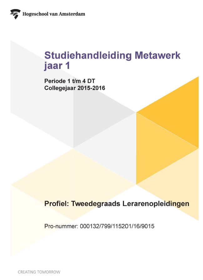 Omslag van Studiehandleiding metawerk jaar 1